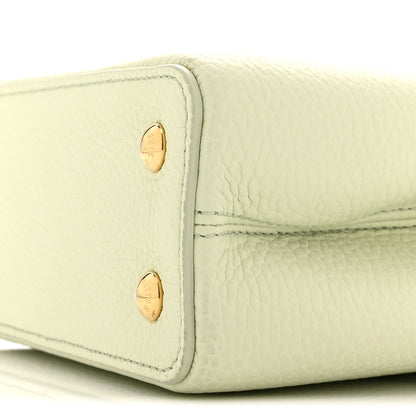 Louis Vuitton LV X TM Taurillon Mini Capucines Green 9 of 9