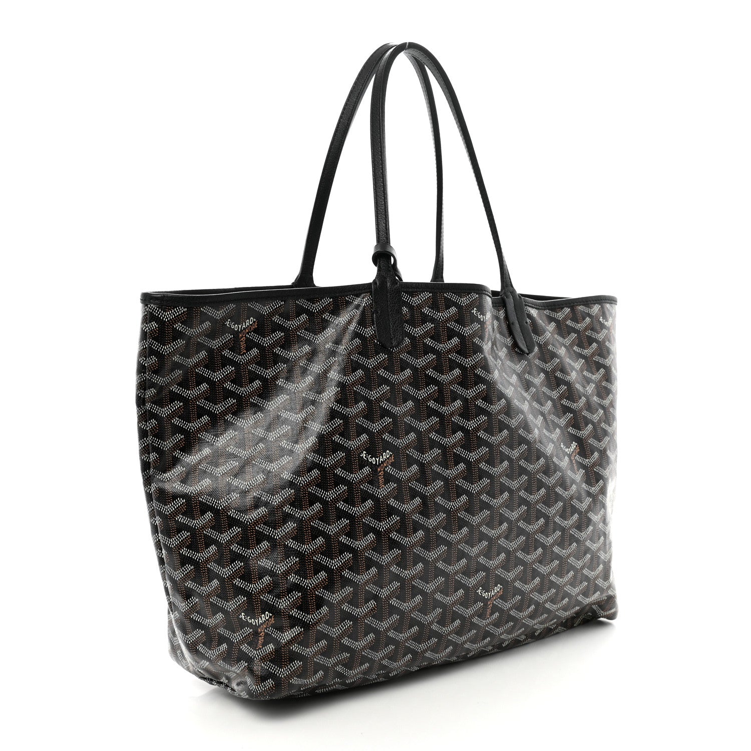 Goyard Goyardine Saint Louis PM Black 4 of 13