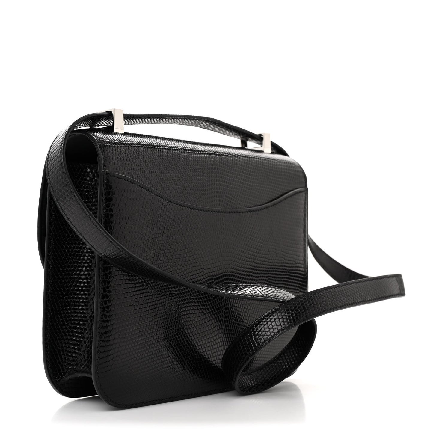 Lizard Constance 1-24 Black