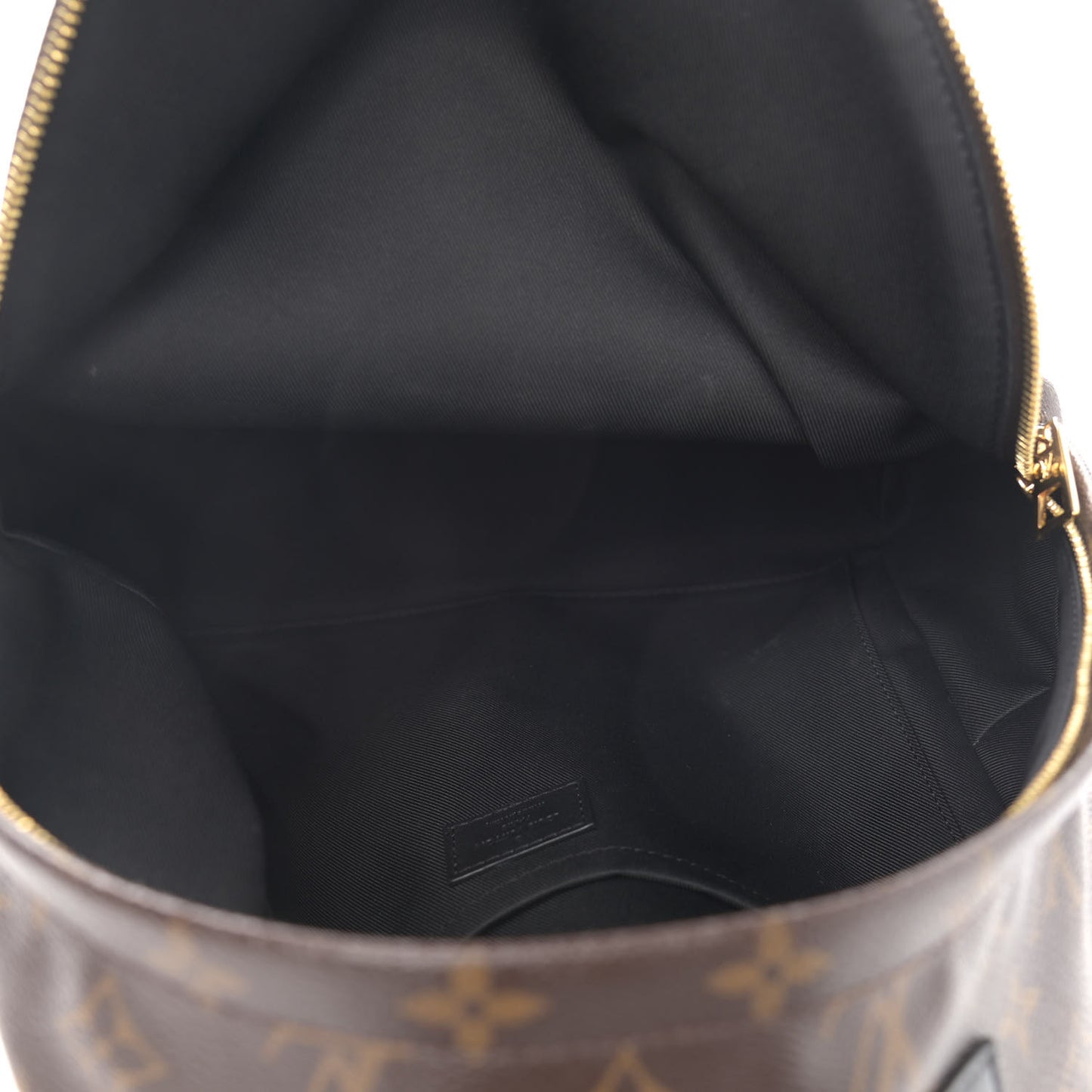 Monogram Palm Springs Backpack MM