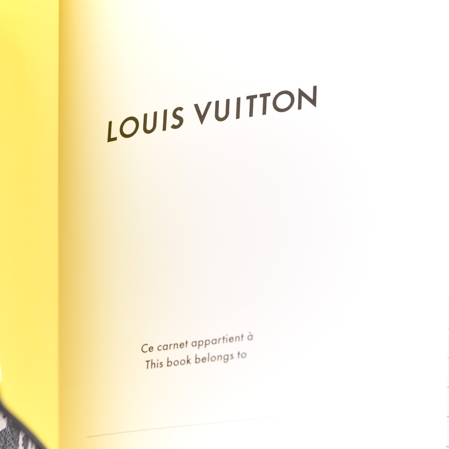 Louis Vuitton Monogram Eclipse Vivienne Clemence Notebook MM 7 of 7