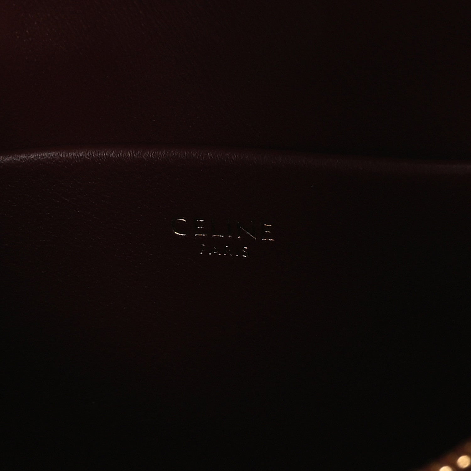 Celine Snakeskin Teen Nino Syrah 6 of 12