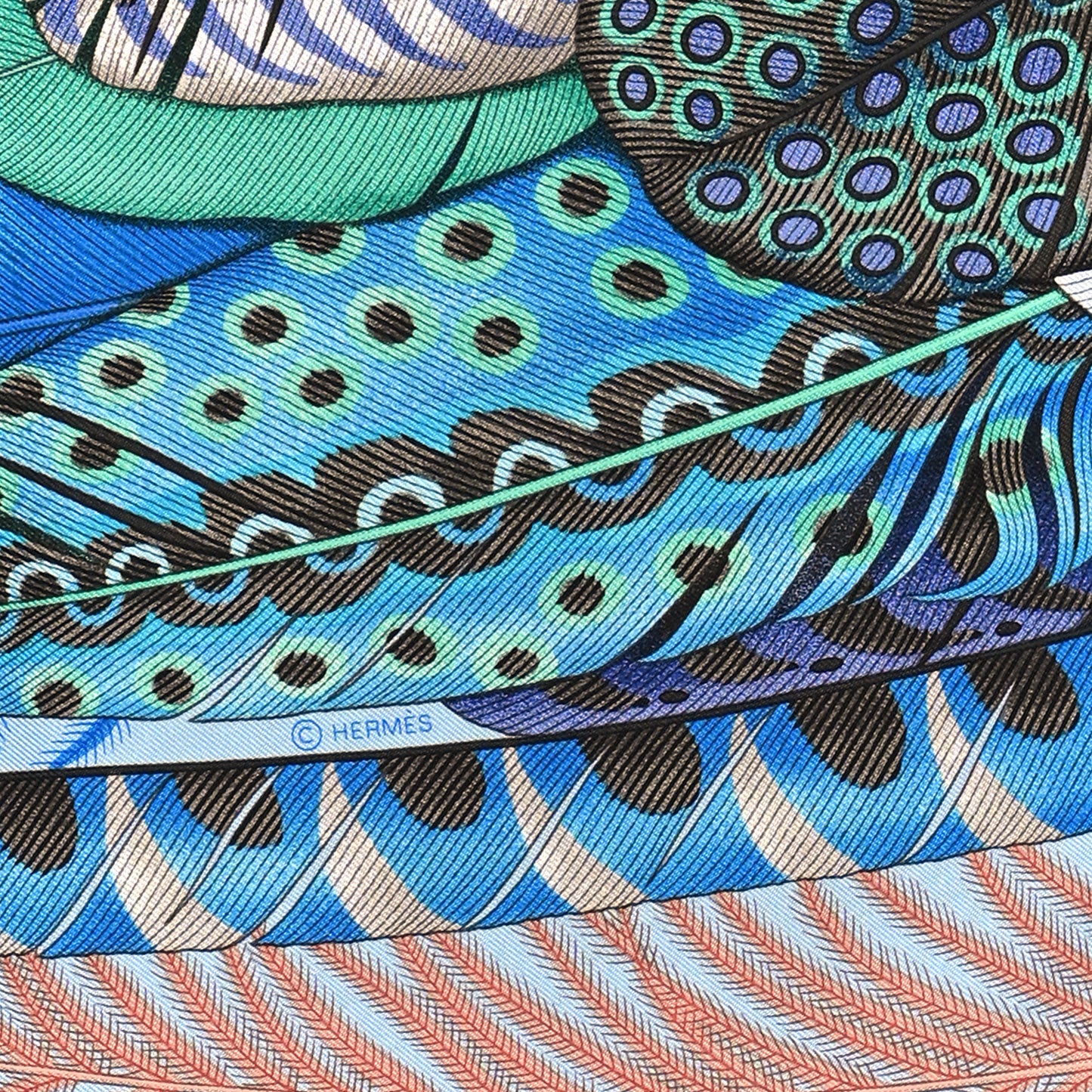 Silk Plumes En Fete Scarf 90 Ciel Vert Brun