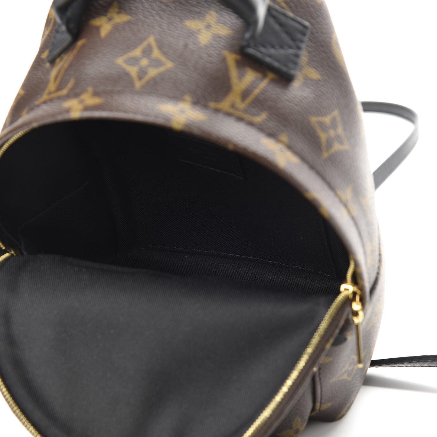 Monogram Palm Springs Backpack Mini