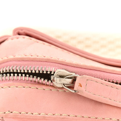 Chanel Canvas Woven Lambskin Lax Accordion Hobo Pink 11 of 13