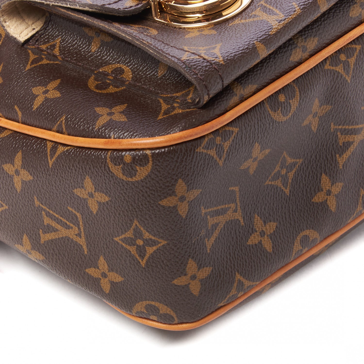 Louis Vuitton Monogram Hudson GM 6 of 8
