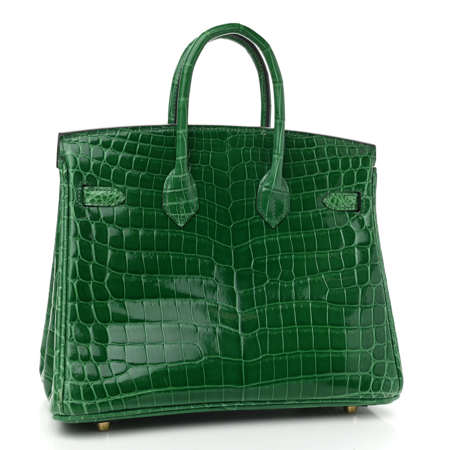 Shiny Niloticus Crocodile Birkin 25 Cactus