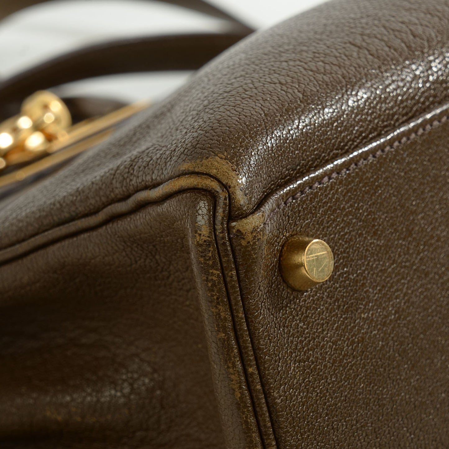 Chevre de Coromandel Kelly Retourne 32 Vert Bronze