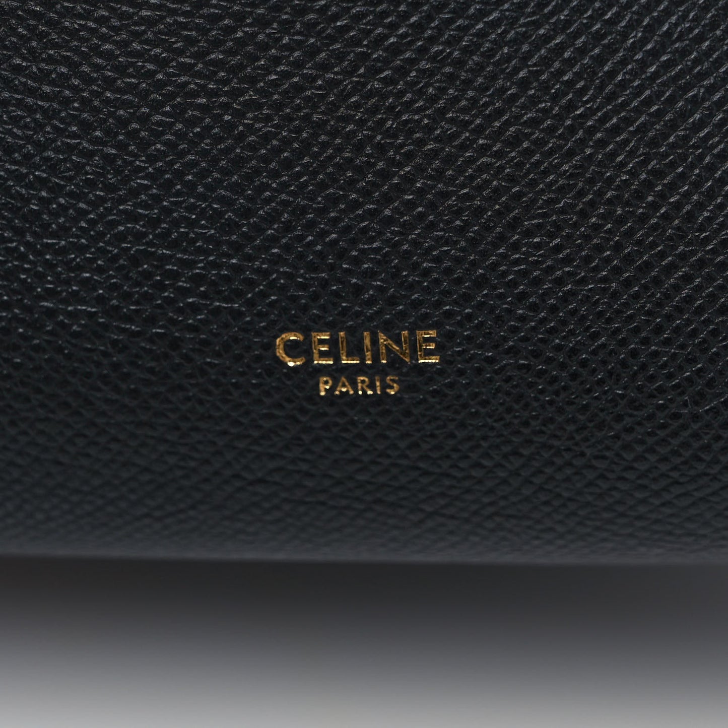 Grained Calfskin Nano Belt Bag Black