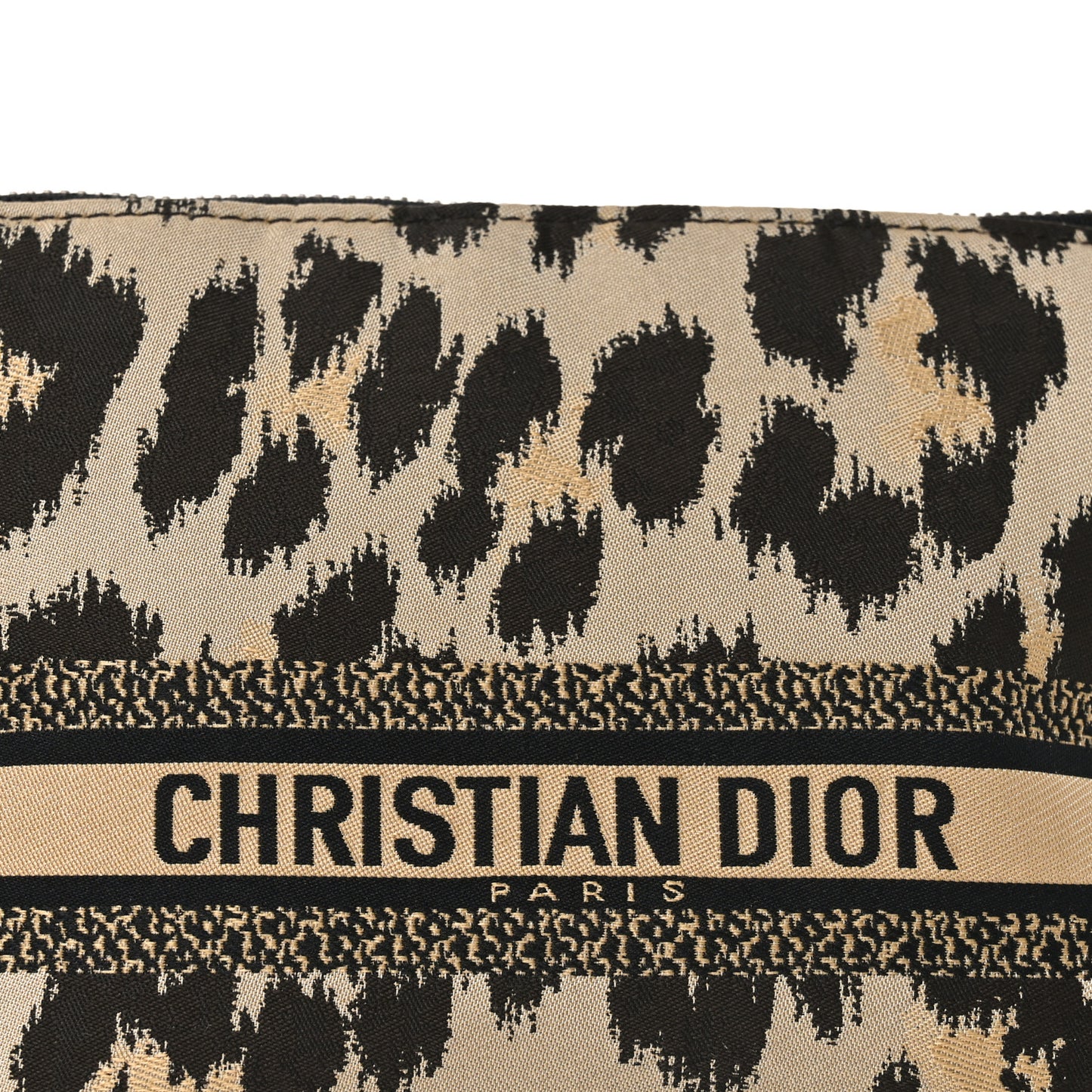 Canvas Mizza Embroidered Leopard DiorTravel Nomad Pouch Beige