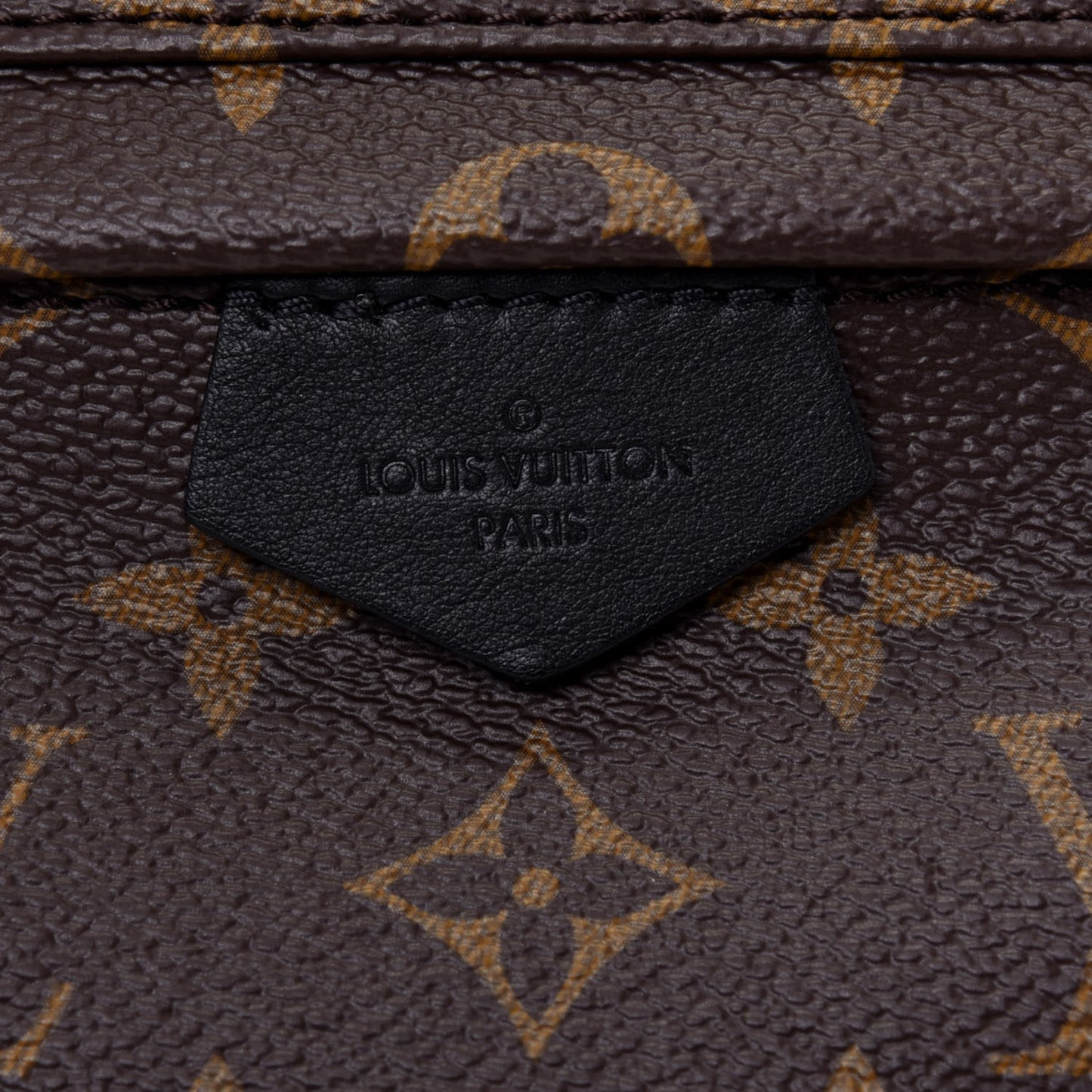 Monogram Palm Springs Backpack PM