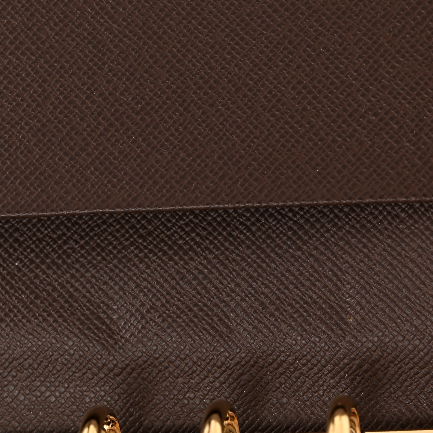 Damier Ebene Medium Ring Agenda Cover