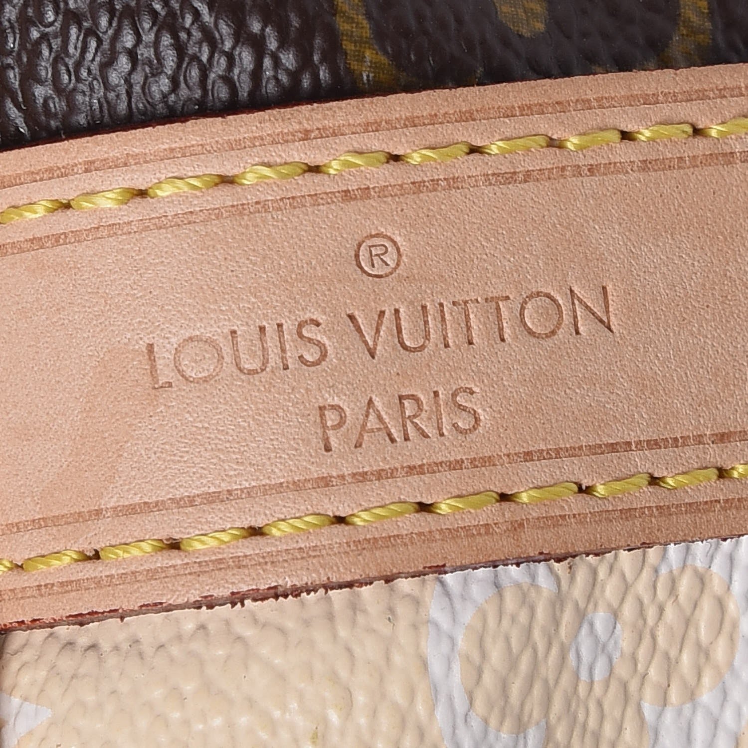 Louis Vuitton Monogram Rayures Petit Noe 6 of 11