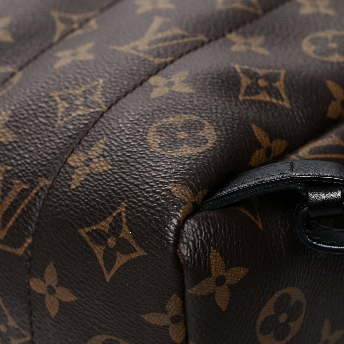 Monogram Palm Springs Backpack PM