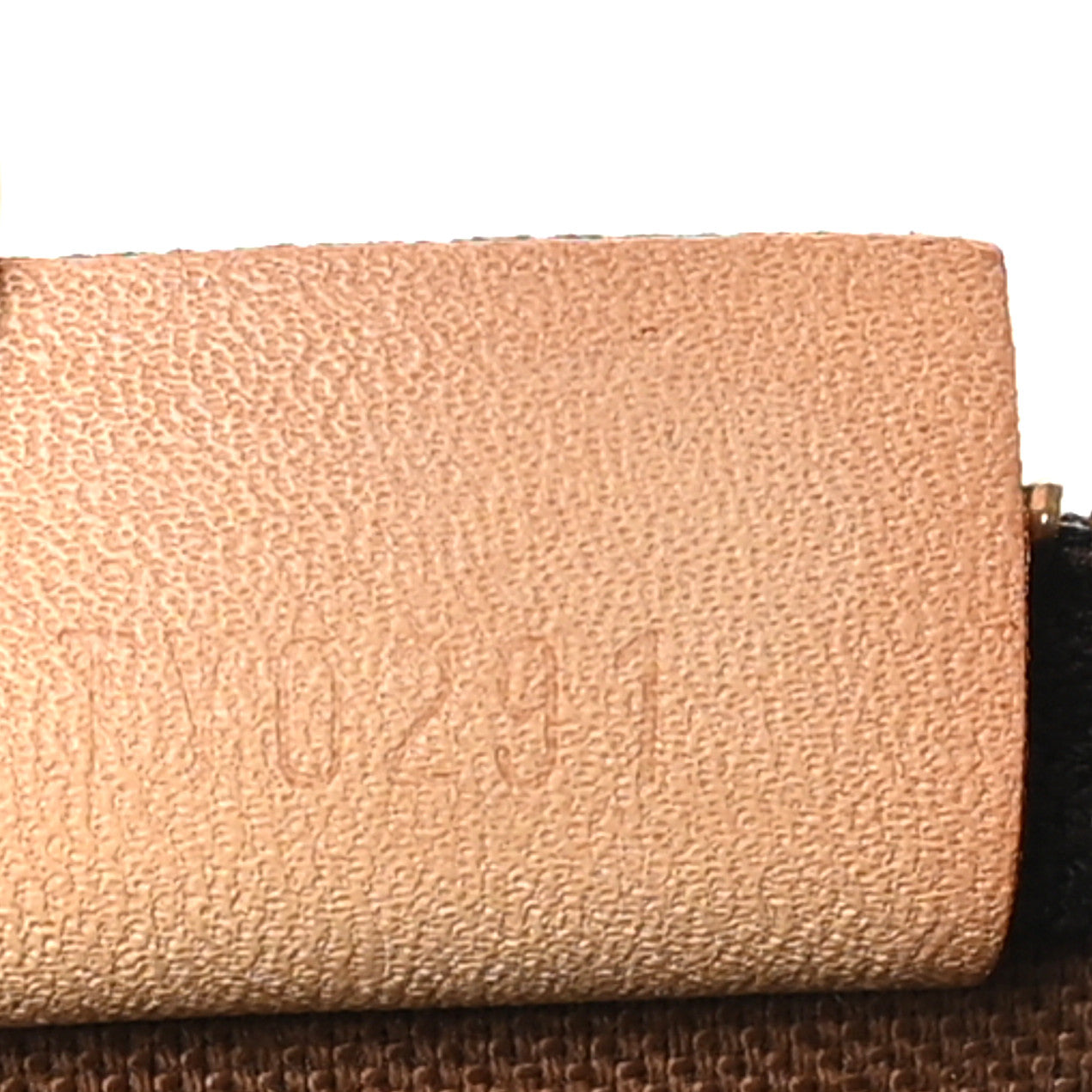 Monogram Nano Speedy