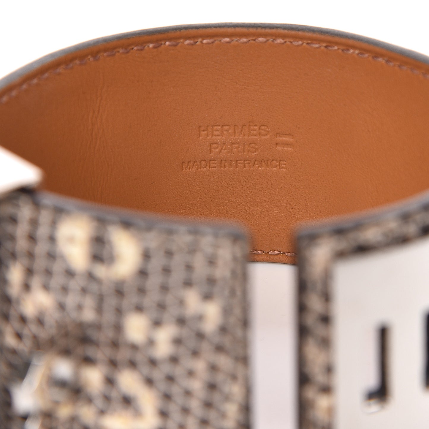 Lizard Collier De Chien CDC Bracelet S Ombre