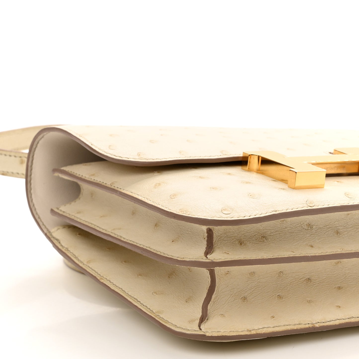 Ostrich Constance 18 Beton