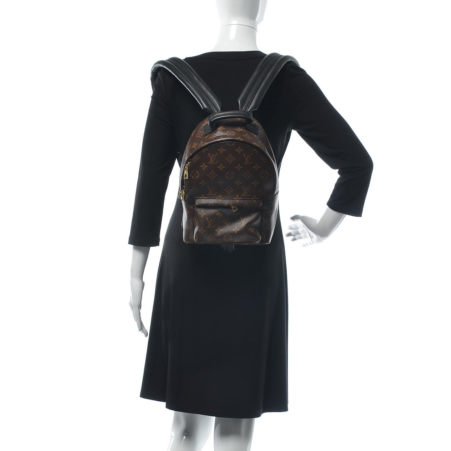Monogram Palm Springs Backpack PM
