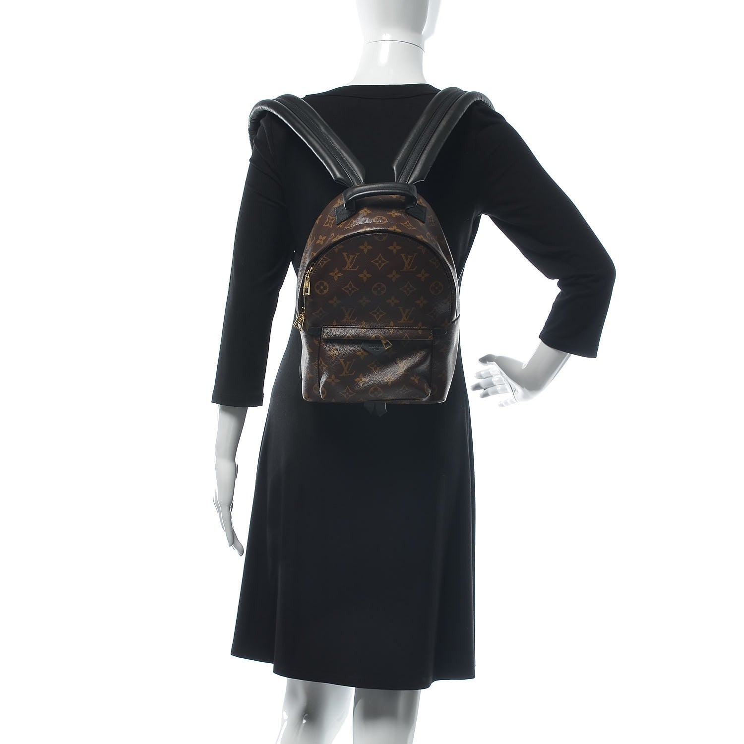 Louis Vuitton Monogram Palm Springs Backpack PM 2 of 7