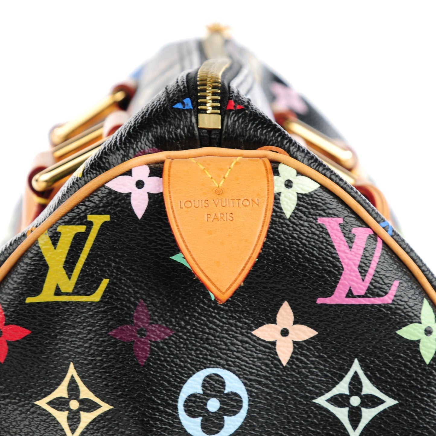 Monogram Multicolor Speedy 30 Black