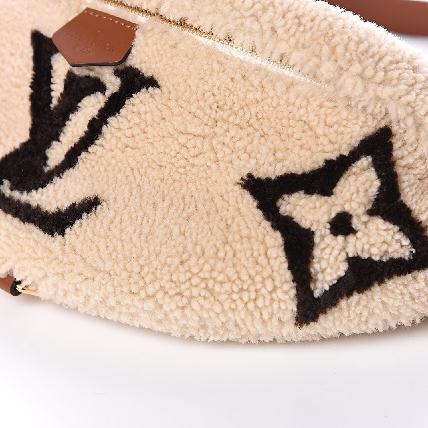 Louis Vuitton Monogram Teddy Bumbag 9 of 10