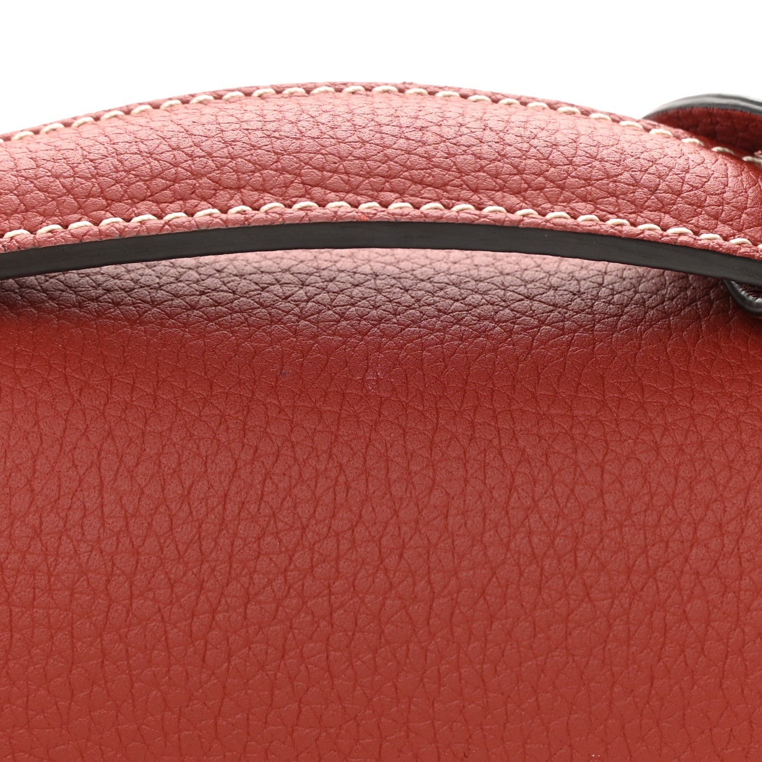 Moynat Taurillon Blush Flori PM Atlas 14 of 15