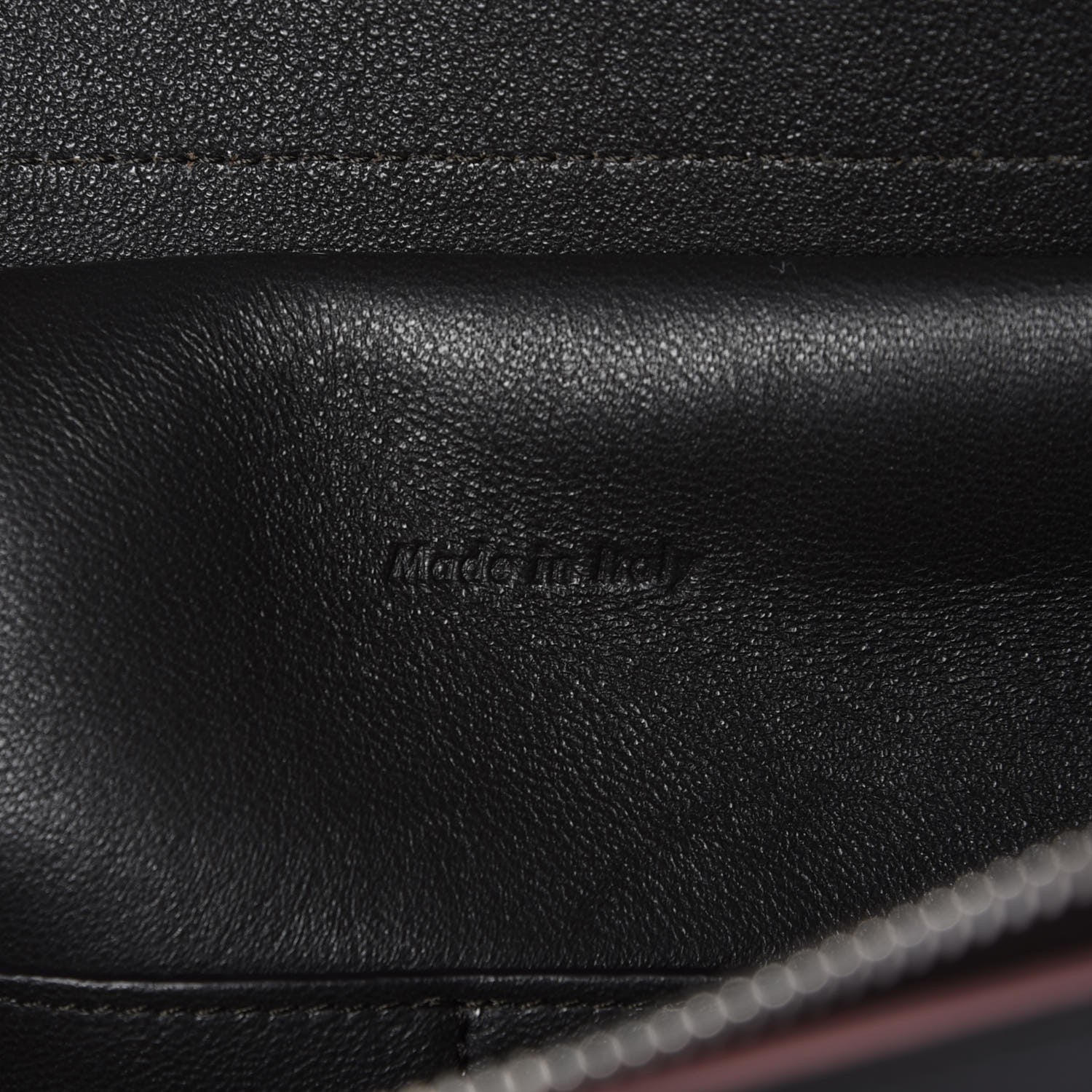 Celine Palmelato Calfskin Mini Belt Bag Espresso 5 of 12