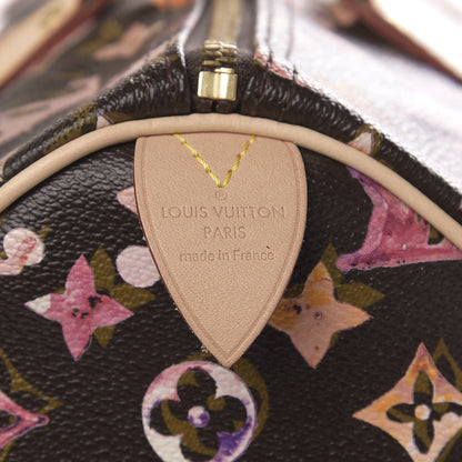 Louis Vuitton Watercolor Aquarelle Speedy 35 Brown 6 of 12