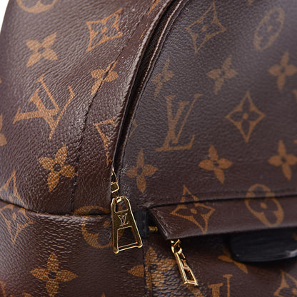 Louis Vuitton Monogram Palm Springs Backpack Mini 12 of 14