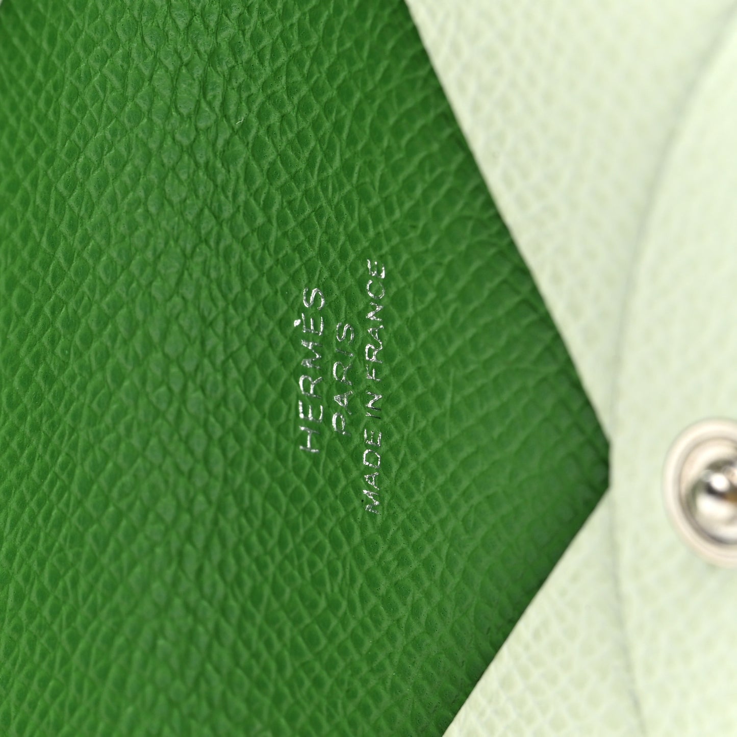 Epsom Verso Calvi Card Case Vert Fizz Vert Yucca