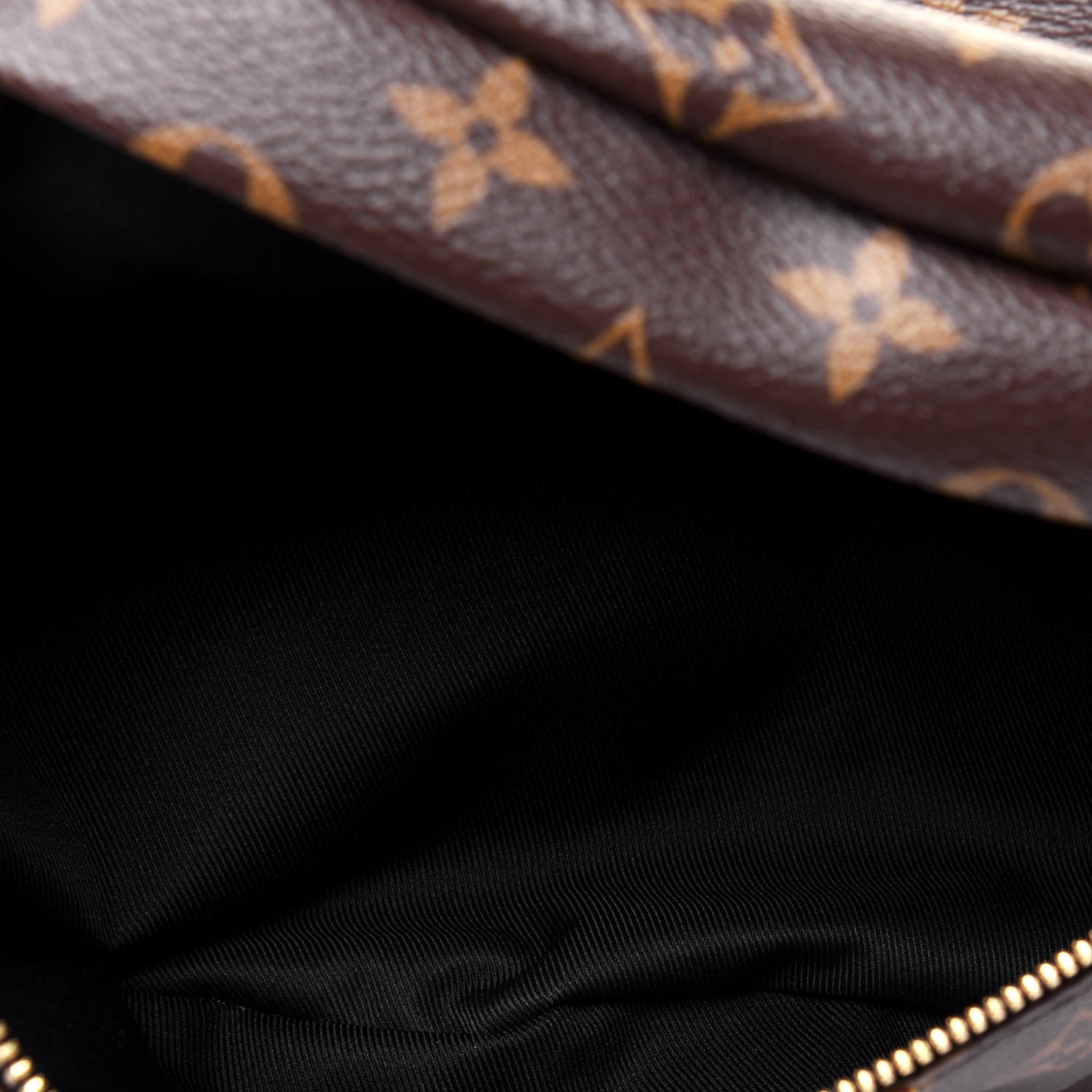 Louis Vuitton Monogram Bumbag 5 of 11