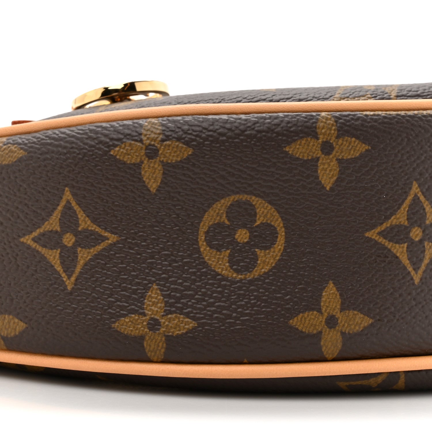 Louis Vuitton Monogram Loop 9 of 9