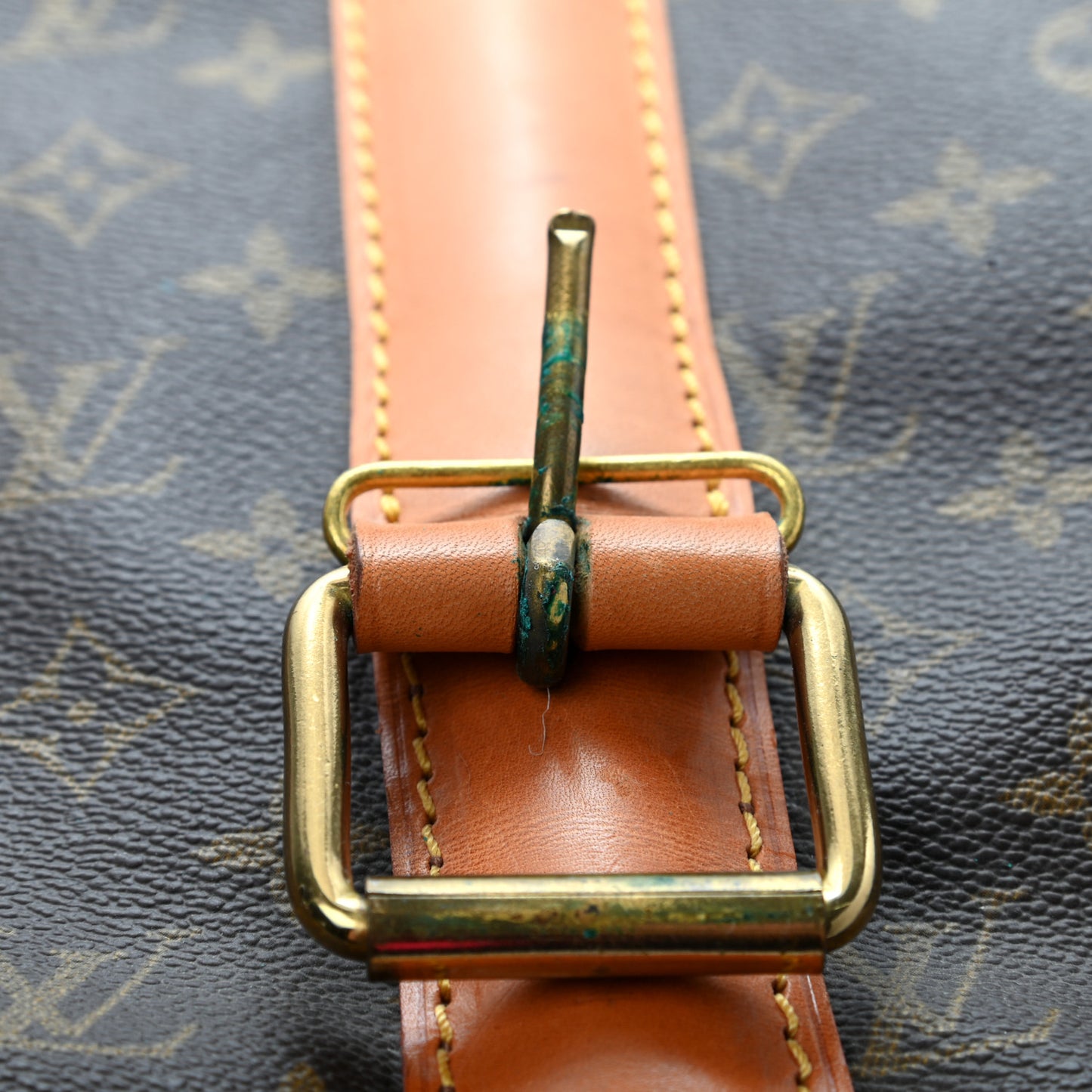 Monogram Portable Garment Bag