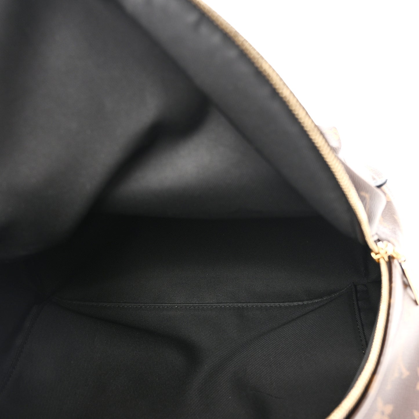 Monogram Palm Springs Backpack MM