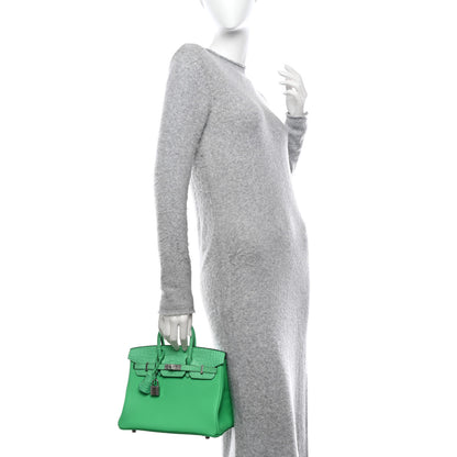 Hermes Togo Matte Alligator Birkin Touch 25 Vert Comics 2 of 11