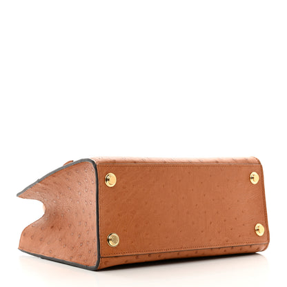 Louis Vuitton Ostrich City Steamer PM Cognac 4 of 9