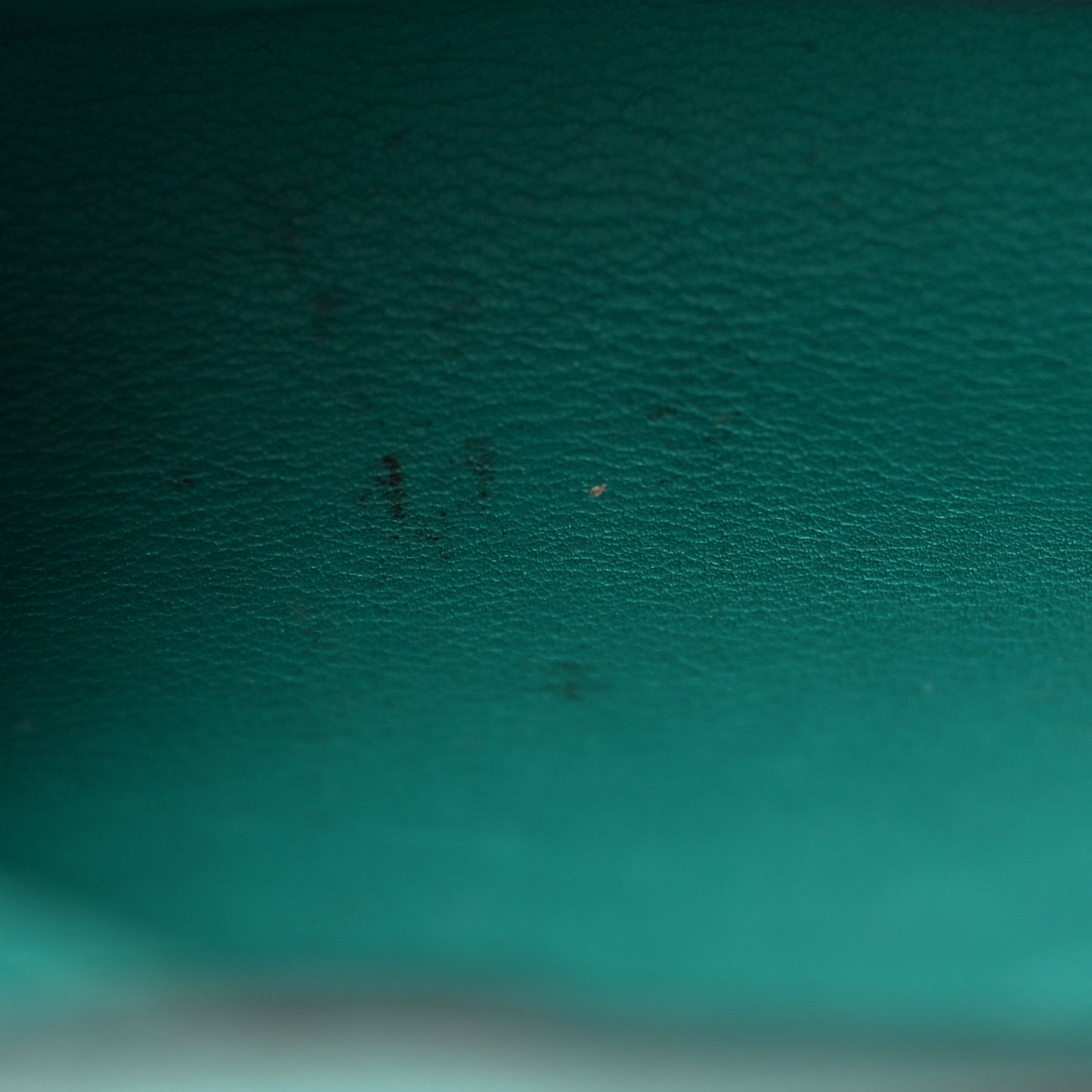 Swift Chevre Mysore Hermail Tutti Frutti Lemon Wallet Bleu Paon Lime Canopee