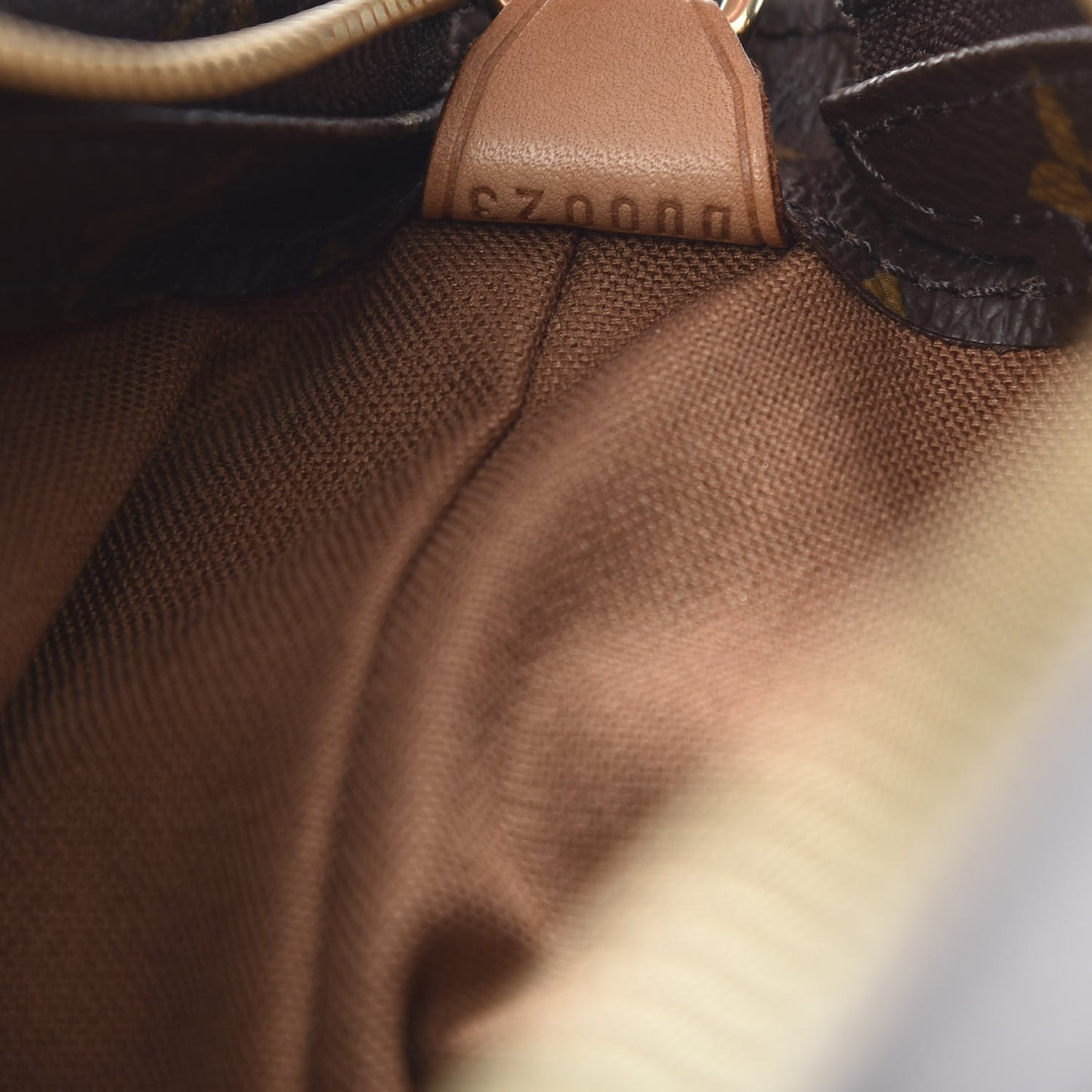 Monogram Cabas Mezzo