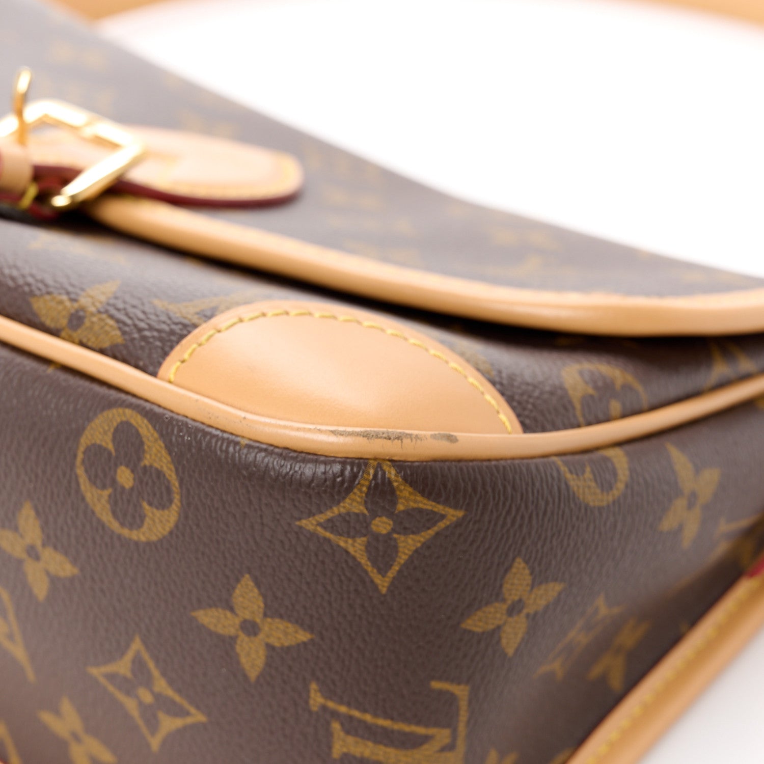 Louis Vuitton Monogram Diane 14 of 16