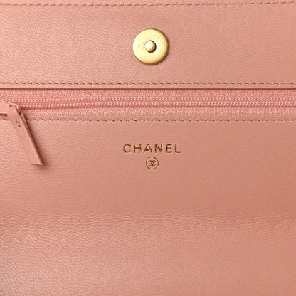 Chanel Goatskin Quilted 19 Wallet On Chain WOC Rose Clair 7 of 11