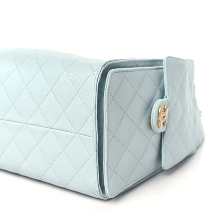 Chanel Caviar Quilted Medium Chanel 25 Handbag Light Blue 10 of 11