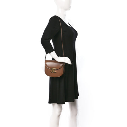 Celine Shiny Calfskin Besace Clea Triomphe Bronze 2 of 13