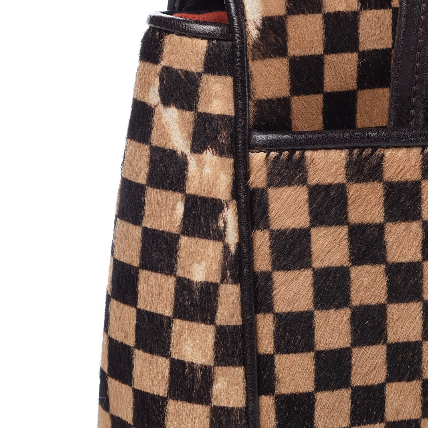 Louis Vuitton Damier Calf Hair Sauvage Lionne 15 of 16