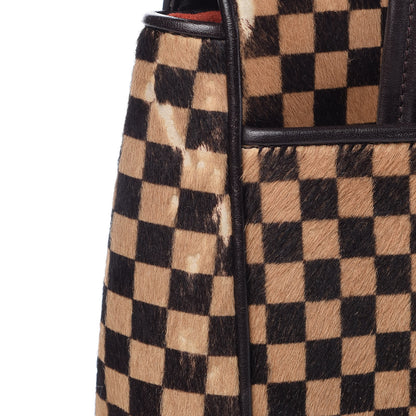 Louis Vuitton Damier Calf Hair Sauvage Lionne 15 of 16
