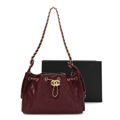 Chanel Goatskin Quilted Small Chanel 25 Handbag Dark Burgundy 4 of 10