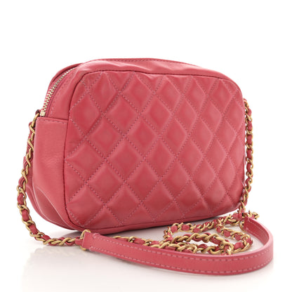 Chanel Calfskin Quilted Day Trips Camera Case Pink 3 of 15