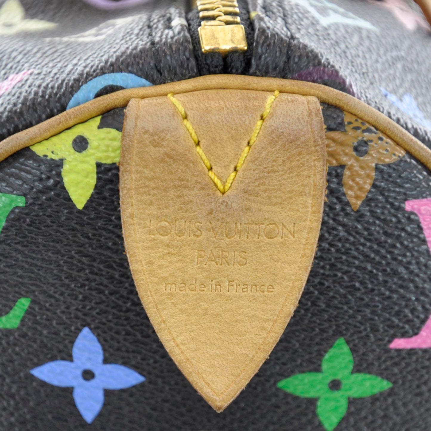 Monogram Multicolor Speedy 30 Black