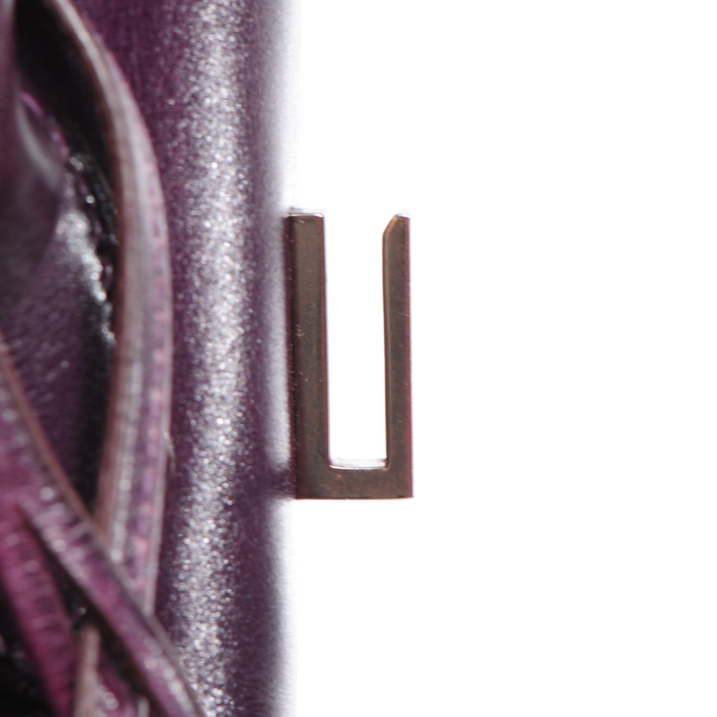 Box Bi-Color Birkin 30 Raisin Cyclamen