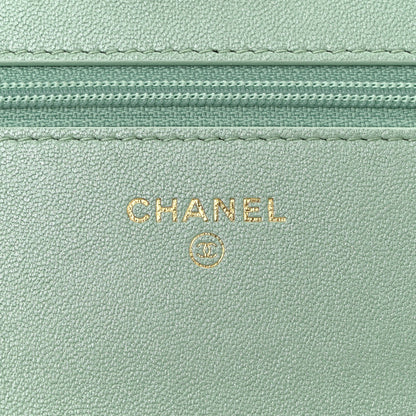 Chanel Shiny Lambskin Quilted Chanel 19 Wallet On Chain WOC Light Green 6 of 12