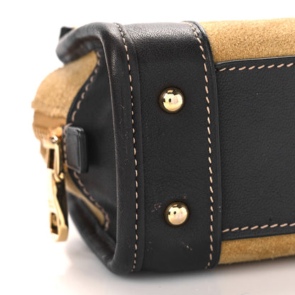 Loewe Suede Calfskin Amazona Nano Gold Brown 6 of 8